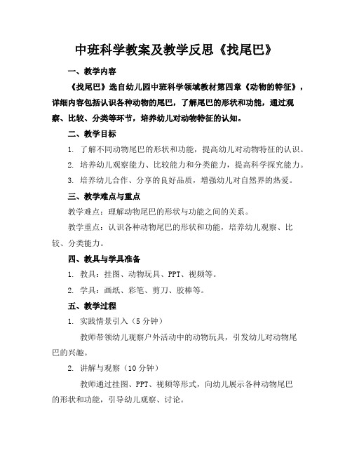 中班科学教案及教学反思《找尾巴》