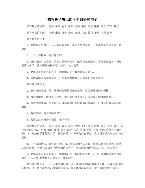描写鼻子嘴巴的十个词语和句子