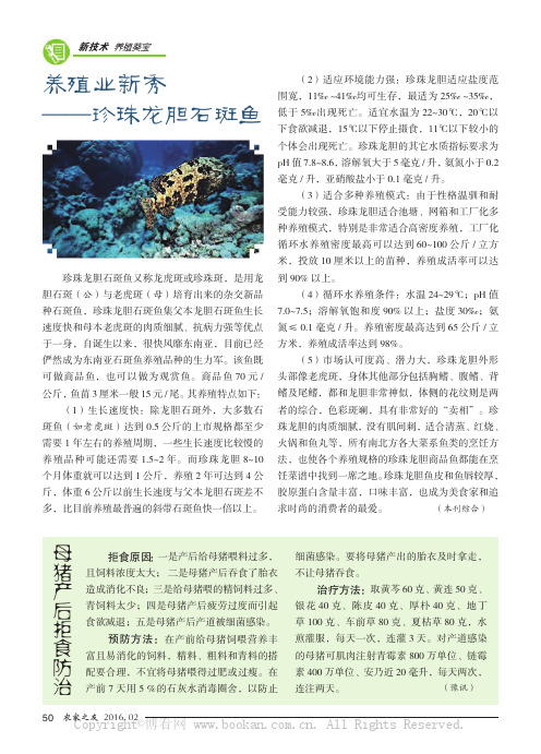 养殖业新秀——珍珠龙胆石斑鱼