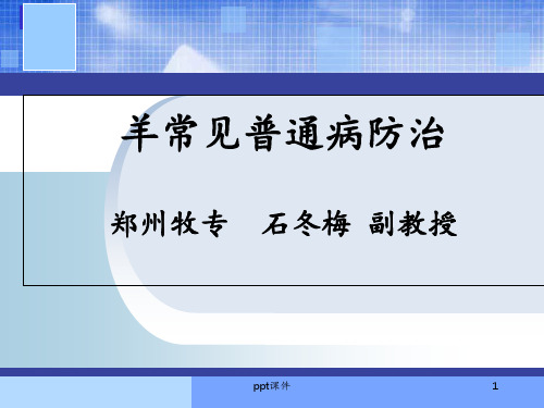 羊常见普通病防治 ppt课件