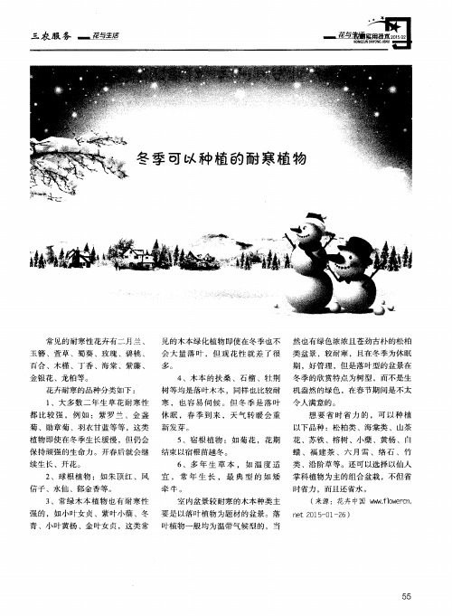 冬季可以种植的耐寒植物