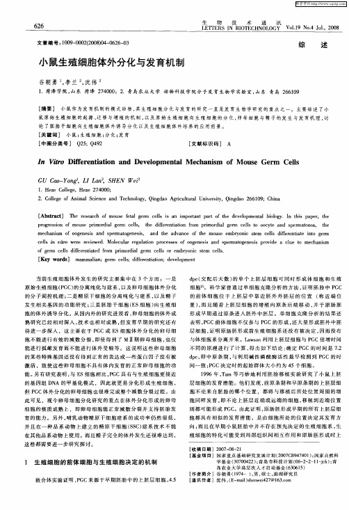 小鼠生殖细胞体外分化与发育机制