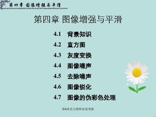 第4章直方图和灰度变换