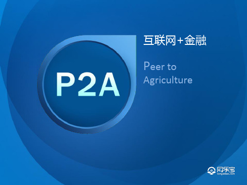P2A概念解释,什么是P2A借贷