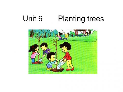 planted trees课件