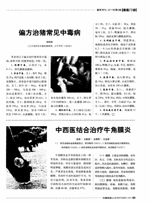 中西医结合治疗牛角膜炎