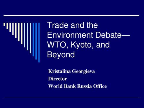 Trade and the Environment Debate—WTO, Kyoto, and Beyond