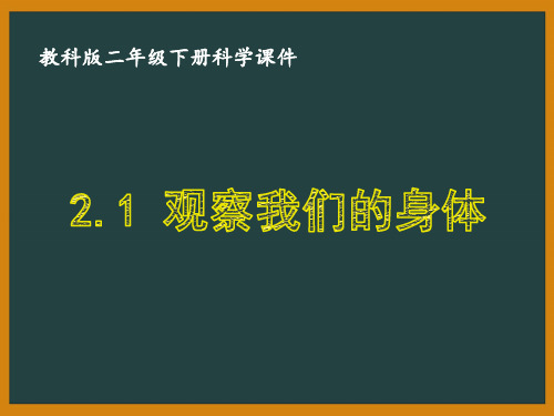二年级科学下册第二单元《我们自己》教科版全部课件(共6课时)