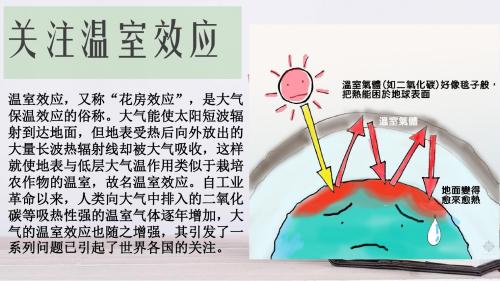 人教版七年级生物下册《科学·技术·社会 温室效应增强和全球气候变暖》公开课课件_12