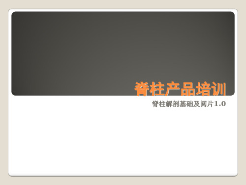 脊柱解剖基础与阅片精品PPT课件