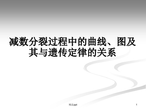 减数分裂过程中的曲线图及其与遗传定律的关系ppt课件