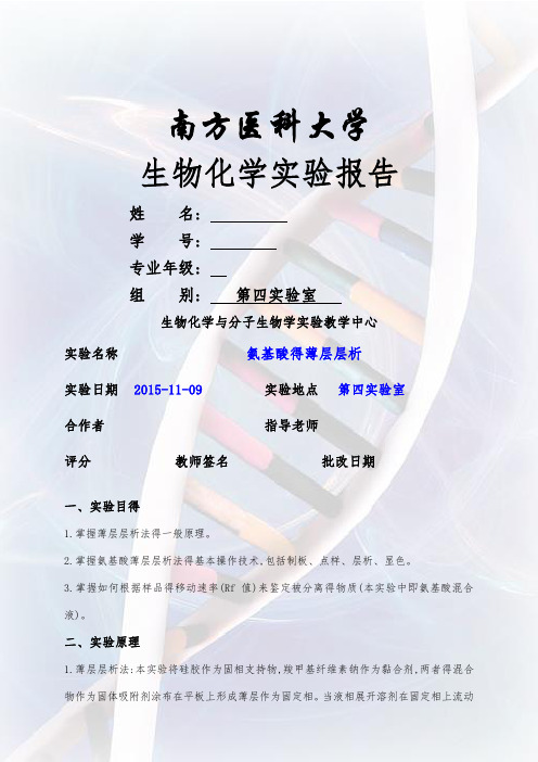 氨基酸的薄层层析_实验报告