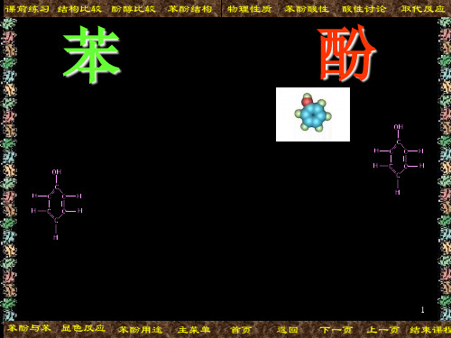 苯酚PPT课件
