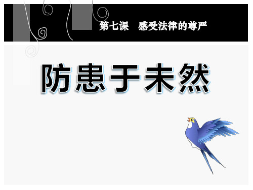 《防患于未然》感受法律的尊严PPT课件2