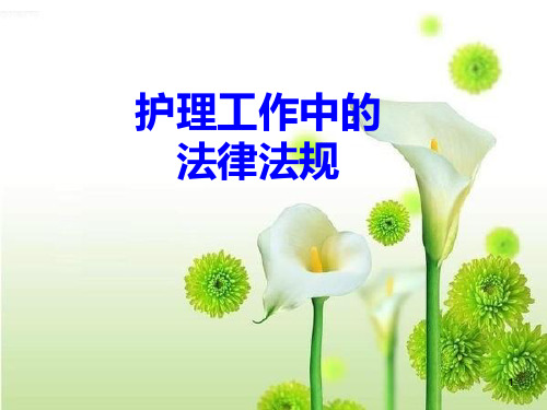 护理工作中的法律法规ppt课件