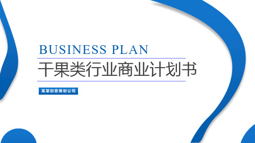 干果类行业商业计划书