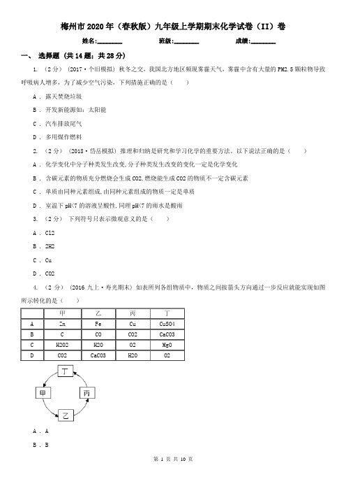 梅州市2020年(春秋版)九年级上学期期末化学试卷(II)卷