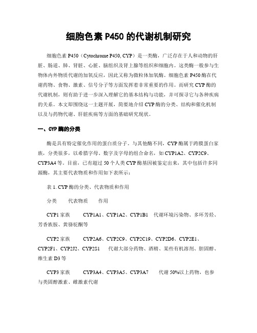 细胞色素P450的代谢机制研究