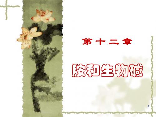 第十二章 胺和生物碱