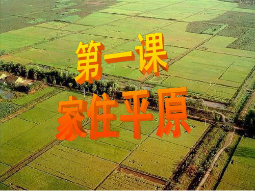 人教版历史与社会七年级上册3.1.1稻作文化的印记(共23张PPT)