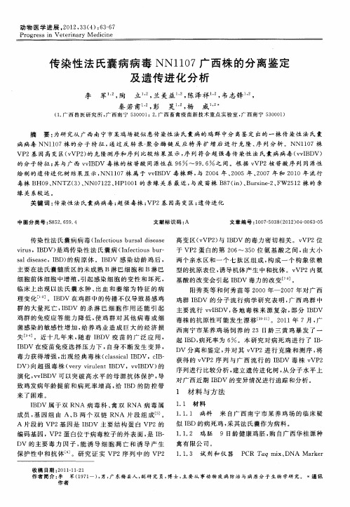 传染性法氏囊病病毒NN1107广西株的分离鉴定及遗传进化分析