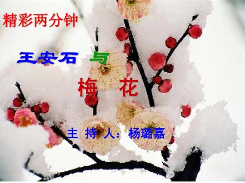 学生精彩两分钟(正式稿)