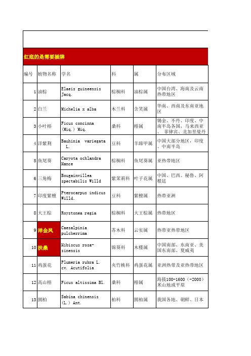 海南大学儋州校区常见植物信息
