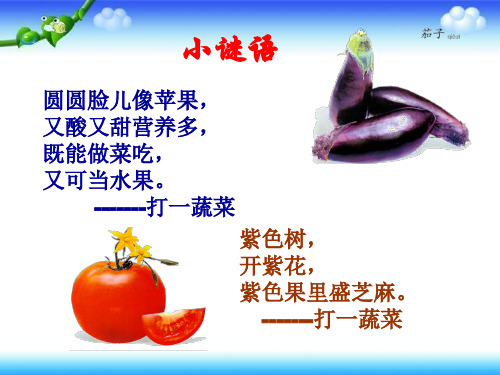 (二上)美术优秀课件- 我家的菜篮子｜岭南版 PPT(60页)