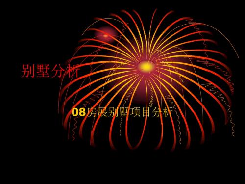 2008年房展别墅项目分析报告