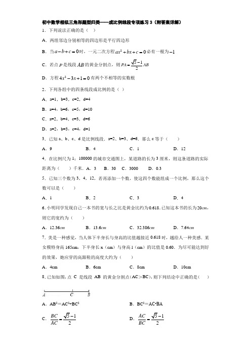 初中数学相似三角形题型归类——成比例线段专项练习3(附答案详解)