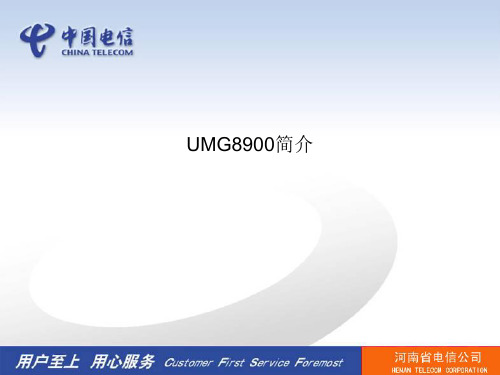 软交换关口局UMG8900