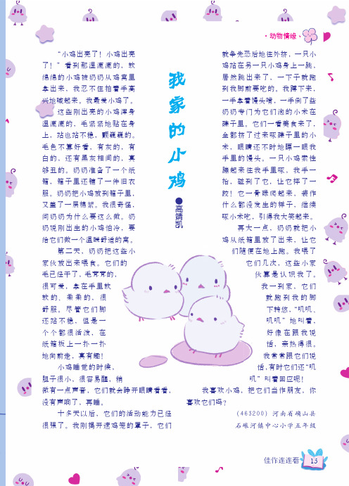 我家的小鸡