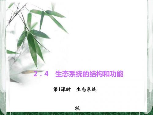 【四清导航】2015(浙教版)九年级科学下册习题课件：2.4.1  生态系统