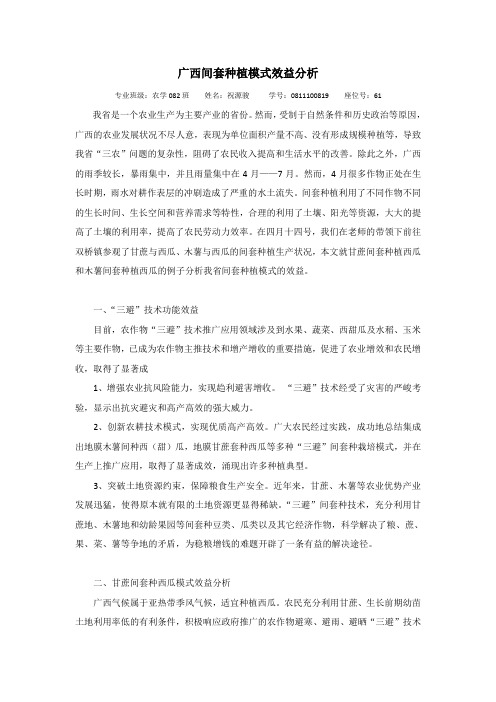 广西间套种植模式效益分析