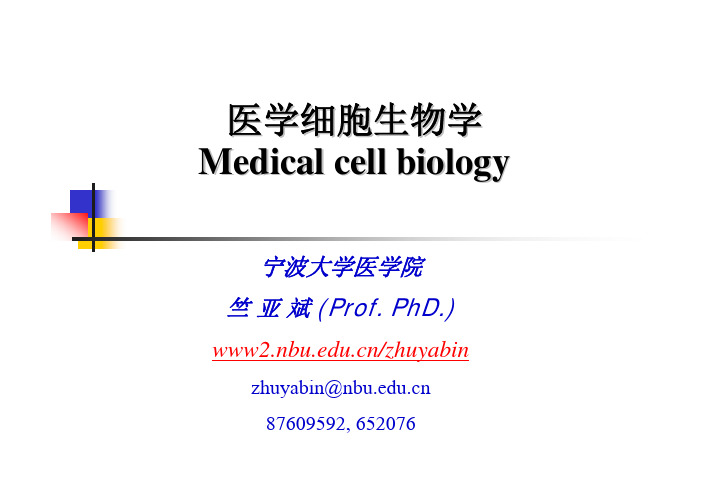 医学细胞生物学