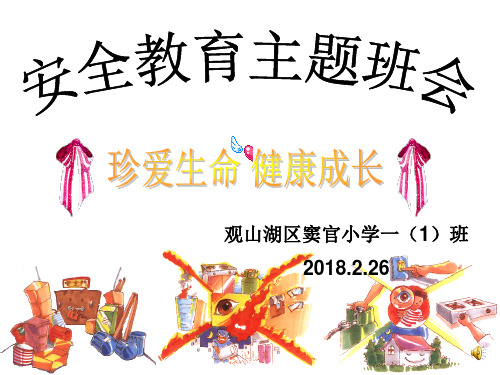 生命安全教育主题班会(珍爱生命_健康成长)ppt(PPT39页)