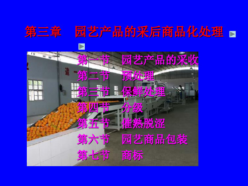 第三章 园艺产品的采后商品化处理1
