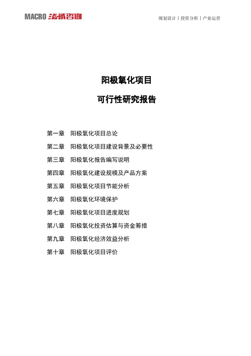 阳极氧化项目可行性研究报告