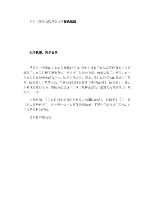 左右人生命运的黄金定律鲇鱼效应