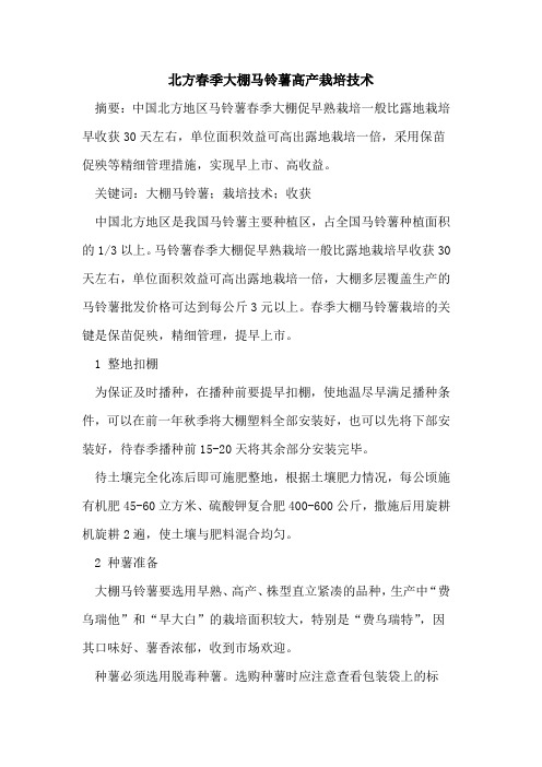 北方春季大棚马铃薯高产栽培技术