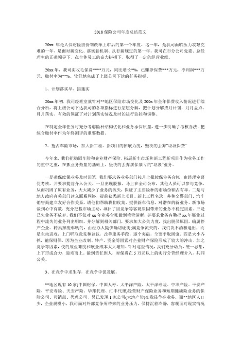 2018保险公司年度总结范文.doc
