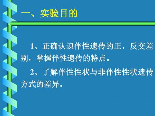 果蝇伴性遗传