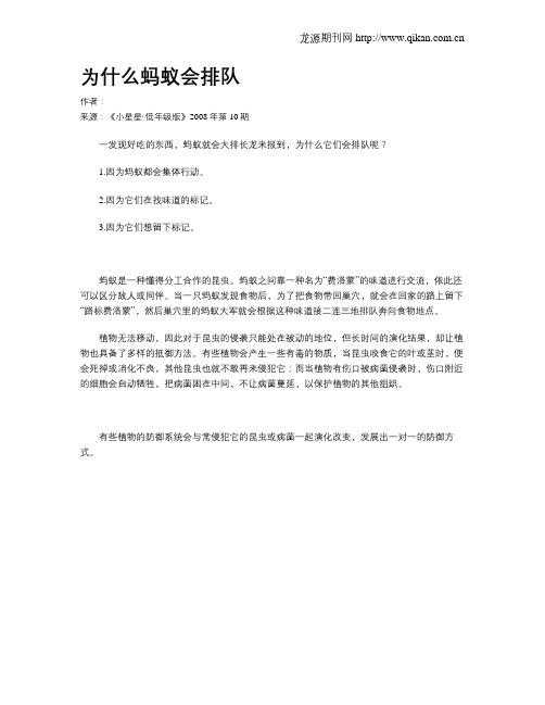 为什么蚂蚁会排队