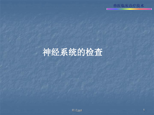 神经系统的检查 ppt课件