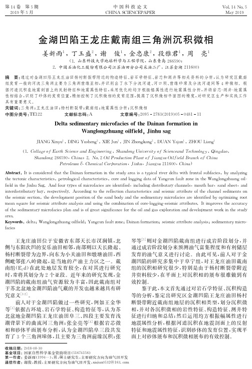 金湖凹陷王龙庄戴南组三角洲沉积微相