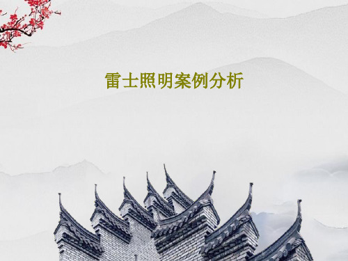 雷士照明案例分析34页PPT