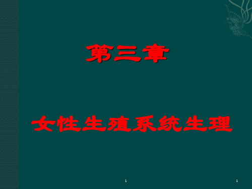 女性生殖系统生理1