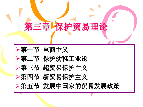 第三章保护贸易理论与政策.pptx