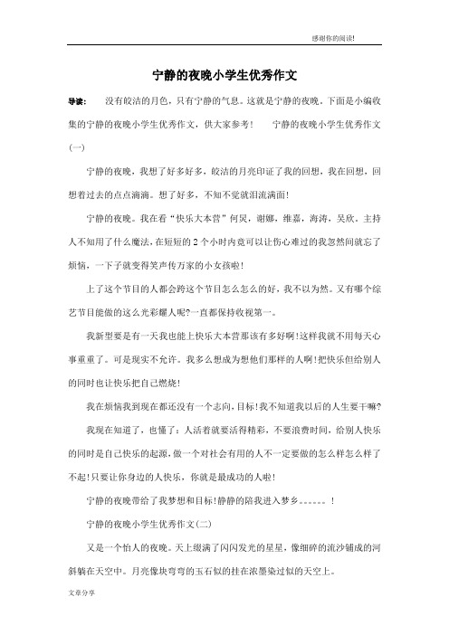 宁静的夜晚小学生优秀作文