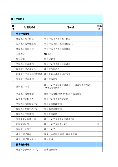 项目过程定义(研发)